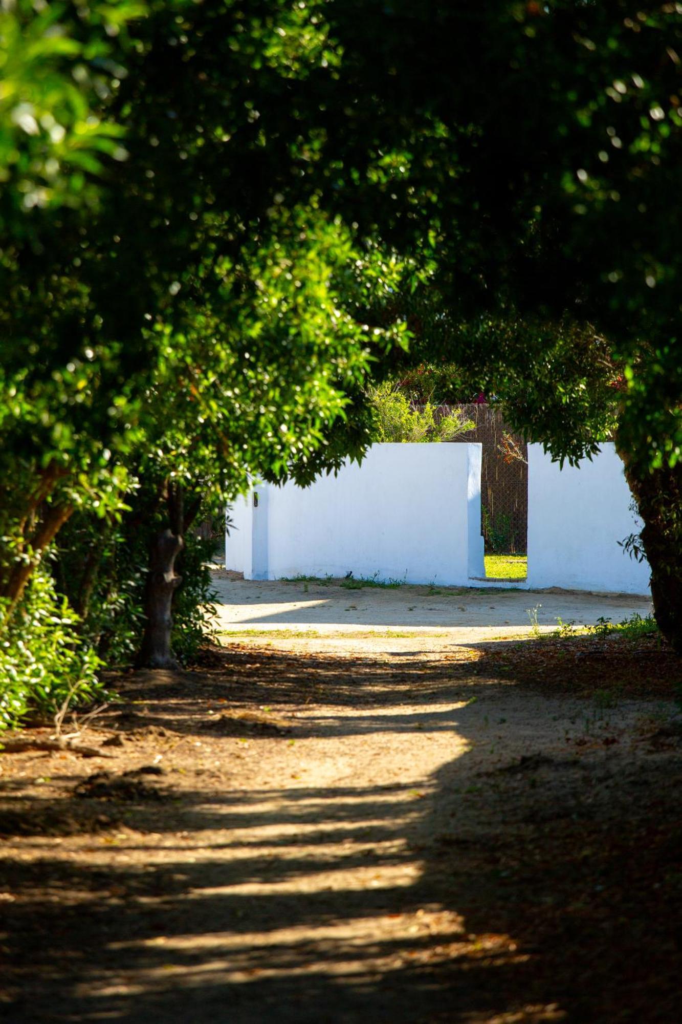 Casara Tres - 2 Dormitorios - Jardin Y Acceso Privado A La Playa Zahora Eksteriør bilde